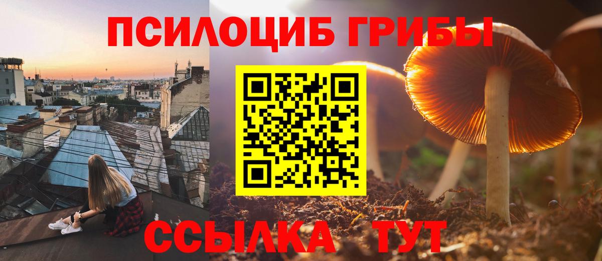 Крымск  где купить наркоту  Вход с VPN  Псилоцибиновые грибы Magic Shrooms 